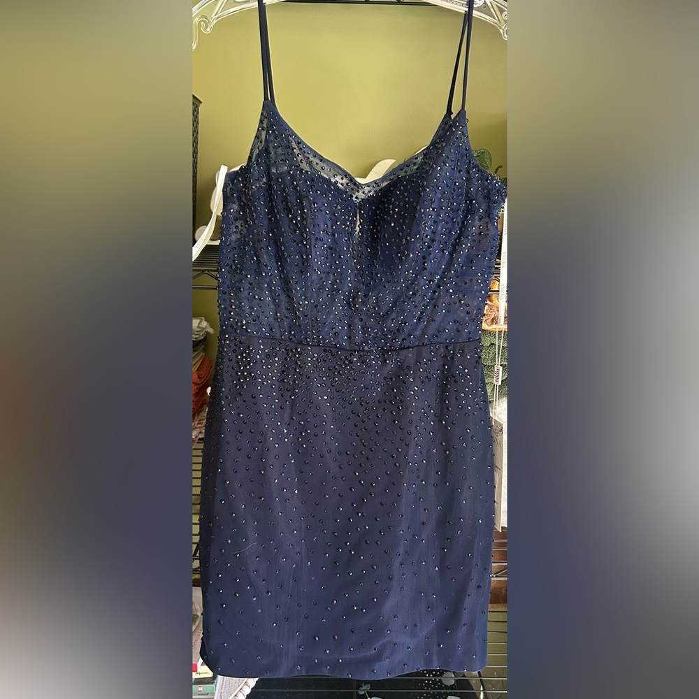 Sequin Navy Blue Dress